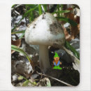 Search for gnome image Green