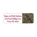 Search for bird house return address labels Nature
