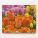 Search for aka mousepads Close up