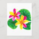 Search for flower postcards Hawaii