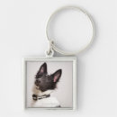 Search for shetland sheepdog key rings Domestic animals