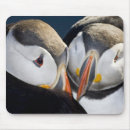 Search for two birds electronics Black