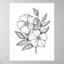 Search for rose drawing posters Flower