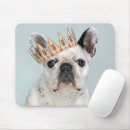 Search for frenchie electronics Canine