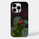 Search for ladybug cases Flower