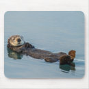 Search for gordon mousepads Jaynes gallery
