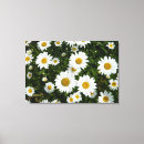 Search for delight canvas prints Garden