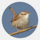Search for wrens stickers Songbird