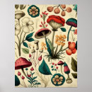Search for collectable posters Illustration