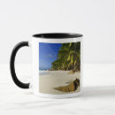 Search for sand rock mugs Nature