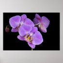 Search for budding art Floral
