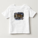 Search for mountain lion tshirts Predator