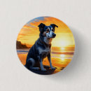 Search for sea dog badges Dog on beach