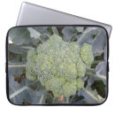 Search for broccoli electronics Healthy