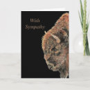 Search for digital bison cards Animal