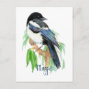 Search for garden birds postcards Wildlife