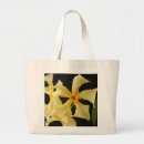 Search for jasmine photography Yellow