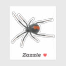 Search for black spider web stickers Arachnid