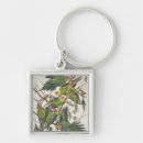 Search for parakeet key rings Illustration