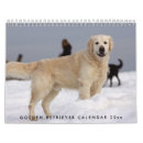 Search for golden retriever calendars Cute