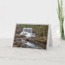Search for state photo cards Photograph