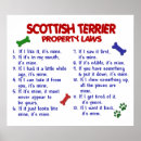 Search for scottish terrier posters Cute