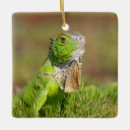 Search for iguana christmas tree decorations Green