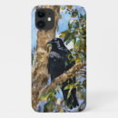 Search for crow cases Nature