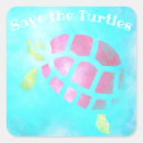 Search for turtle love stickers I love turtles