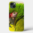Search for avian ipad cases Danita delimont