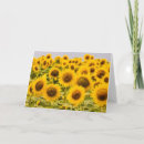 Search for close ups cards Flower head