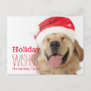 Search for smiling dog Celebration