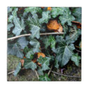 Search for garden wall tiles Leaves
