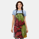 Search for squash aprons Pumpkin