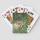 Search for squirrel playing cards Nature