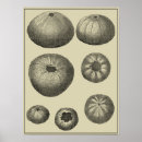 Search for black white ocean posters Coastal