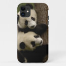 Search for baby panda iphone cases Bear