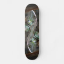 Search for lizard skateboards Iguana