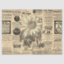 Search for horticultural Flowers
