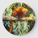 Search for observing Monkey
