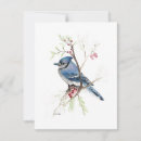 Search for blue jay cards Songbird