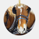 Search for clydesdale horse christmas tree decorations Horses