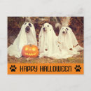 Search for humorous prints postcards Dog