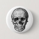 Search for human anatomy badges Skull