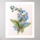 Search for colour me posters Floral