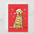 Search for labrador cards Golden lab