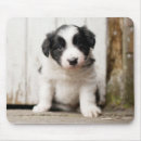 Search for border mousepads Photography