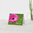 Search for pink gerbera thank you cards Bridal shower