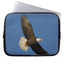 Search for homer electronics Wildlife