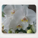 Search for moth mousepads Flowers